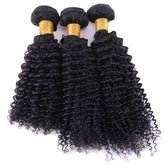 8A Brazilian Virgin Human Hair Extension Afro Kinky Curly Remy Hair